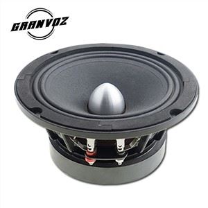 10 Inch Midrange Car Speaker With Bullet